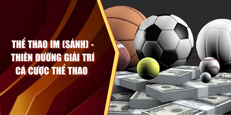 Giới Thiệu Sảnh IM - Điểm Đến Cược Thể Thao Tại 789win
